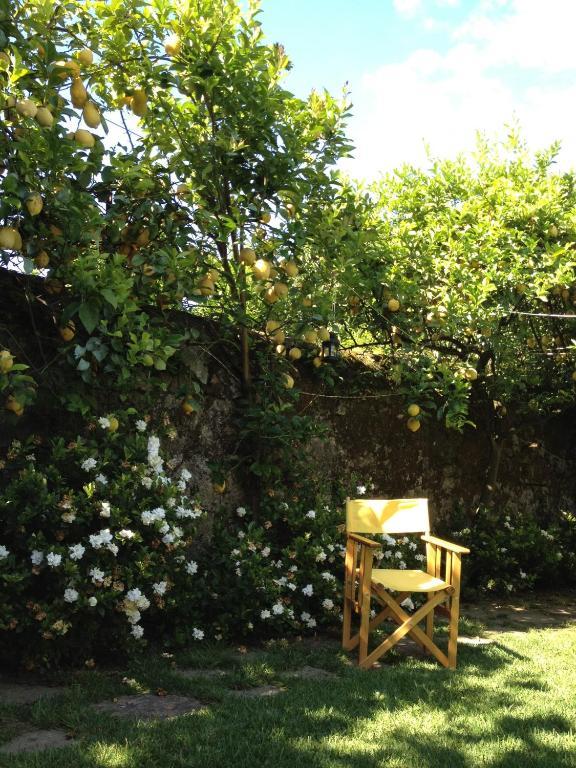 蓬德利马 Casa Do Pinheiro - Turismo De Habitacao酒店 外观 照片